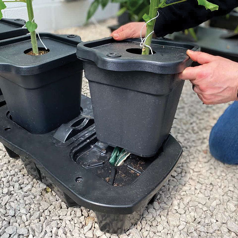 quadgrow self watering planter Quadro Planter for Modern Gardening Displays