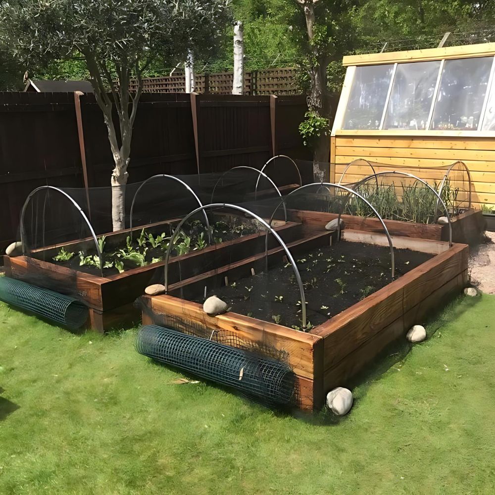 Wooden raised garden beds with wire cages in a backyard setting.