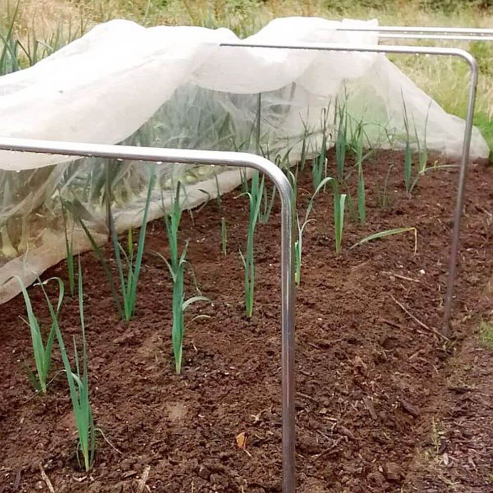 Gardening hoop house with young plants growing inside on a garden bed.