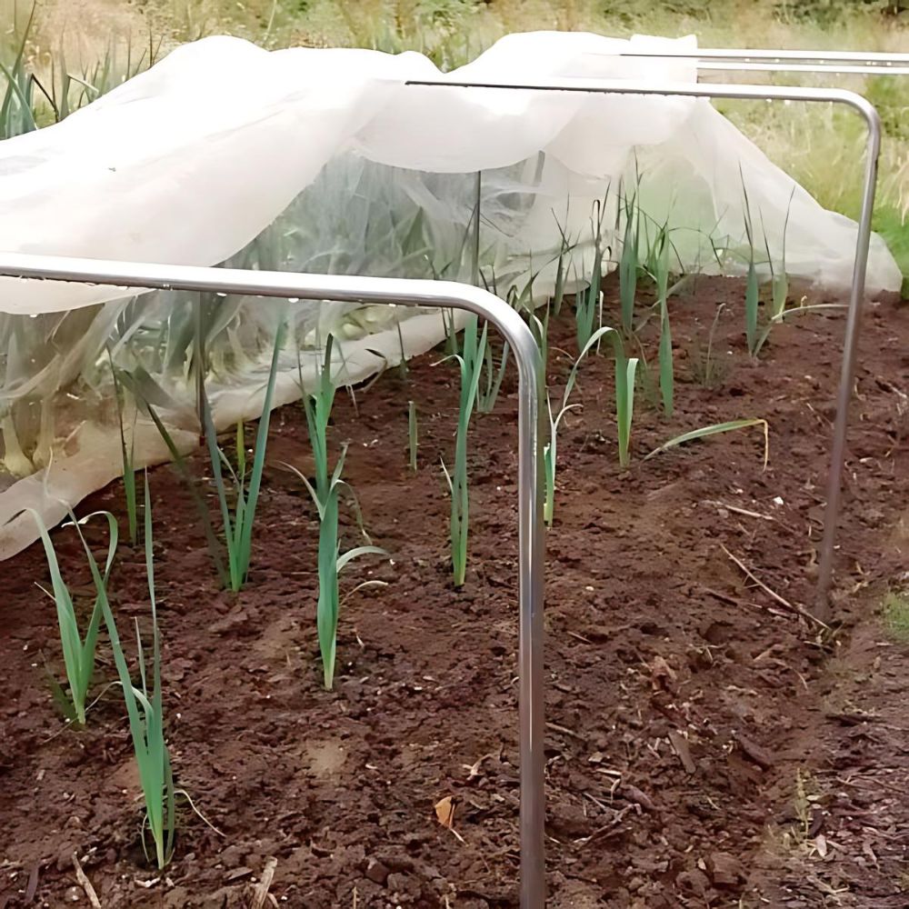 Vegetable garden with young plants under a protective covering
