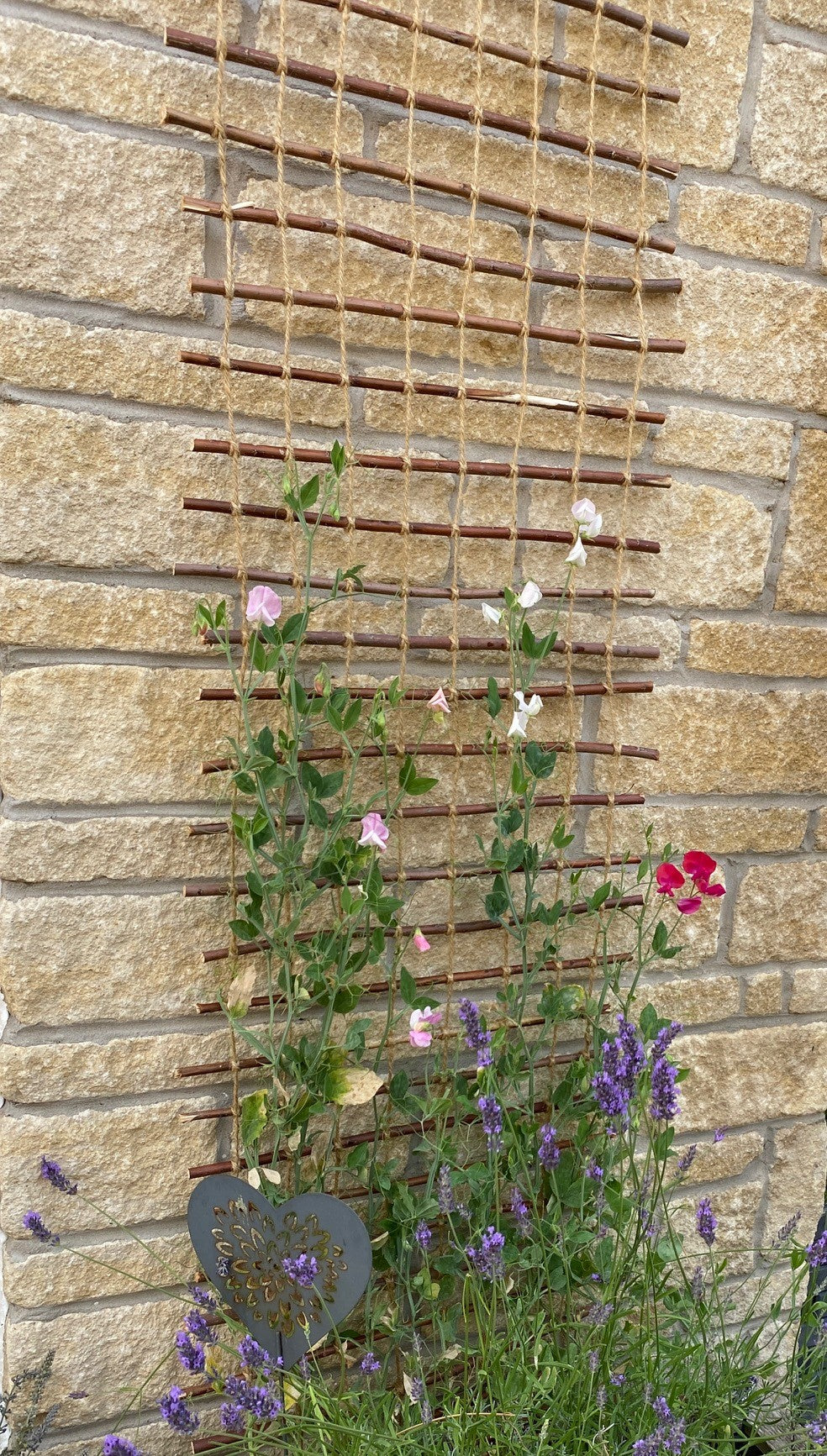 trellis with flowers on a wall