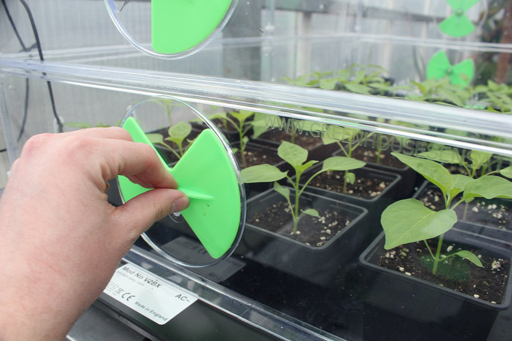 A person's hand opening the lid of a clear plastic Vitopod Propagator containing seedlings inside.