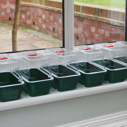 Green windowsill propagator with lids  on a window ledge 