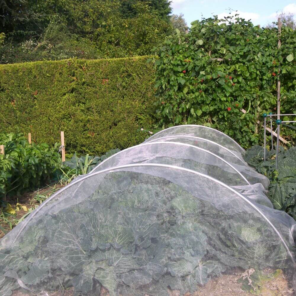 Vegetable garden with rows of plants covered by a garden tunnel