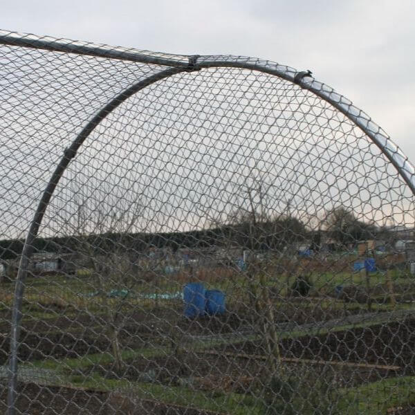 vegetable cage - domed fruit cage