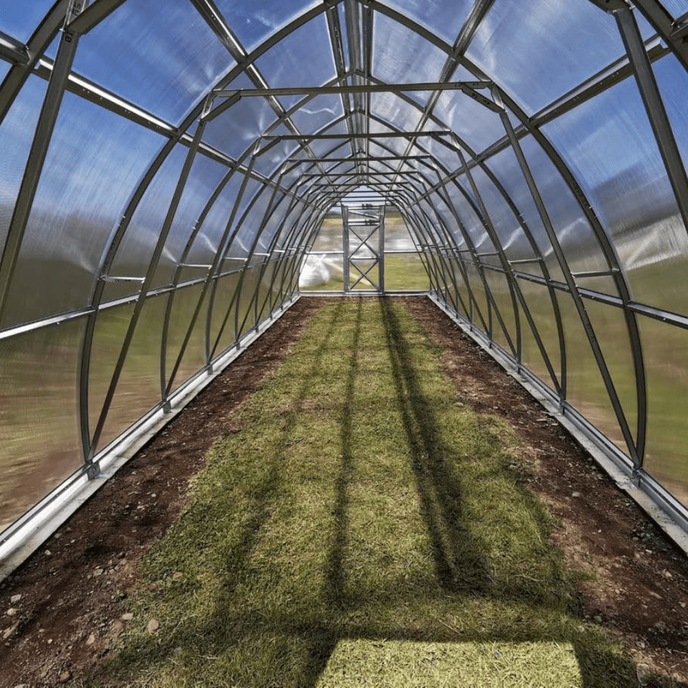 Longitudinal view of a greenhouse with a clear roof and walls, showing the interior structure.