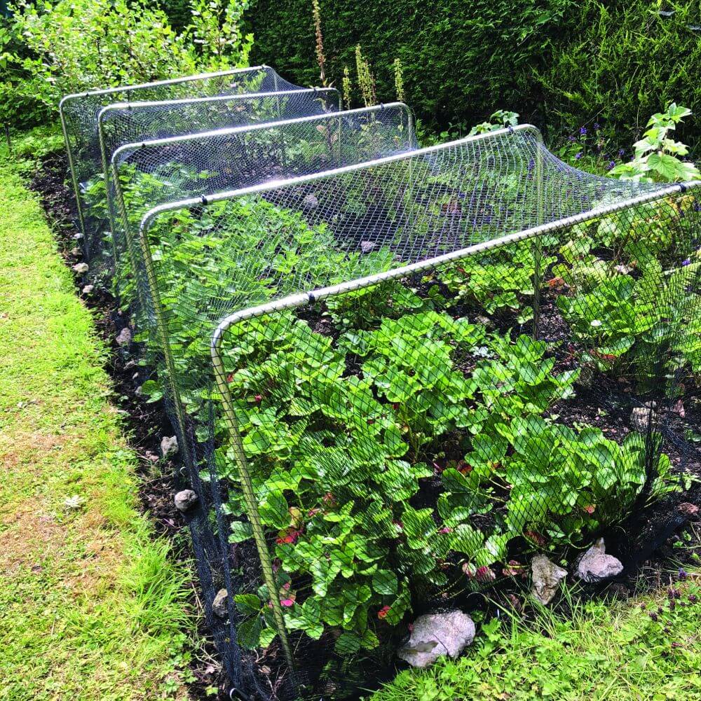 Garden bed with bird netting coverings over hoops