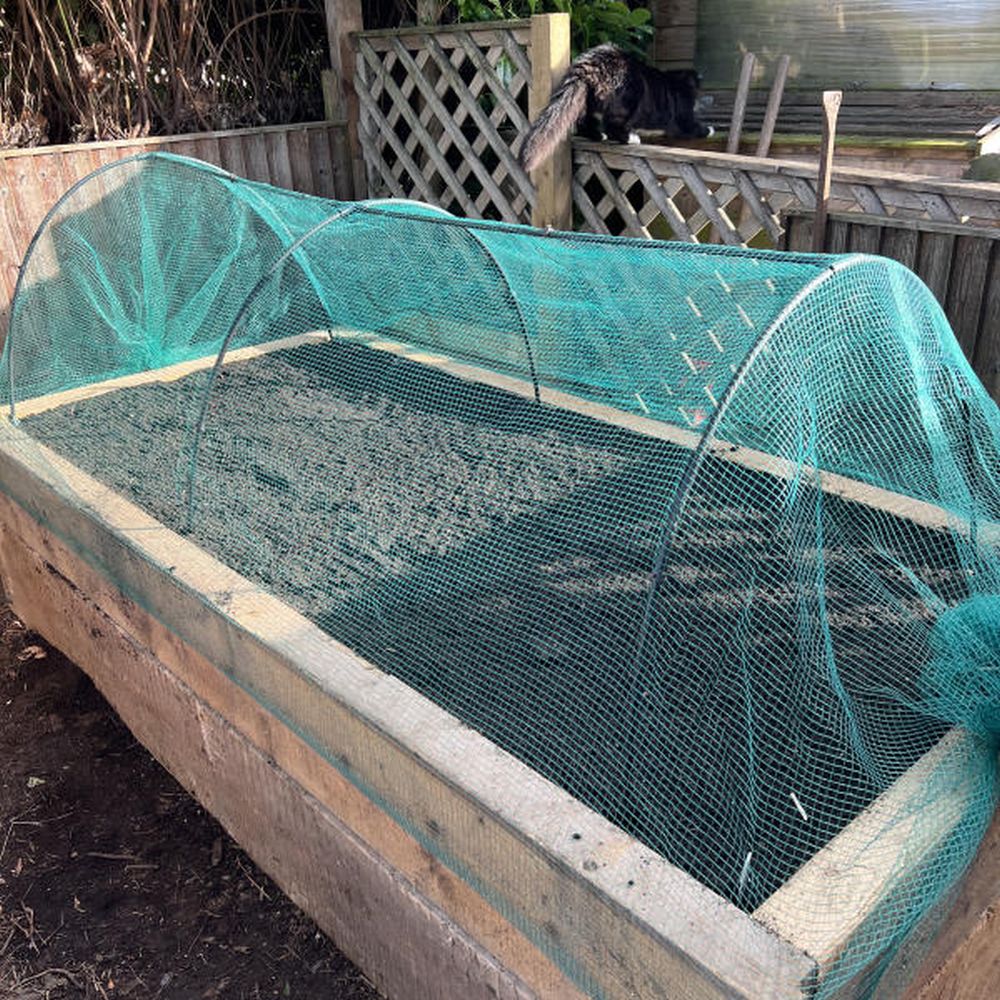 Vegetable garden bed with a green mesh cover in an outdoor setting.