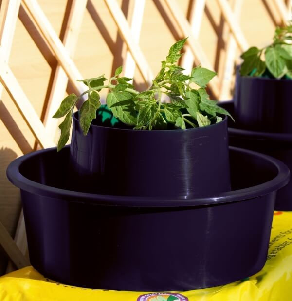 tomato plant pots uk Tomato Growpots for Healthier Tomato Plants