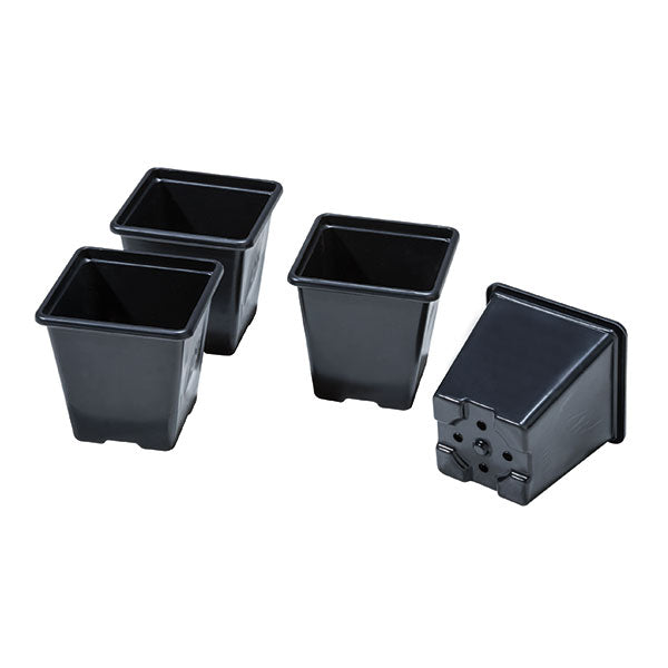 Square plastic pots for vegetable tray greenhouse growing