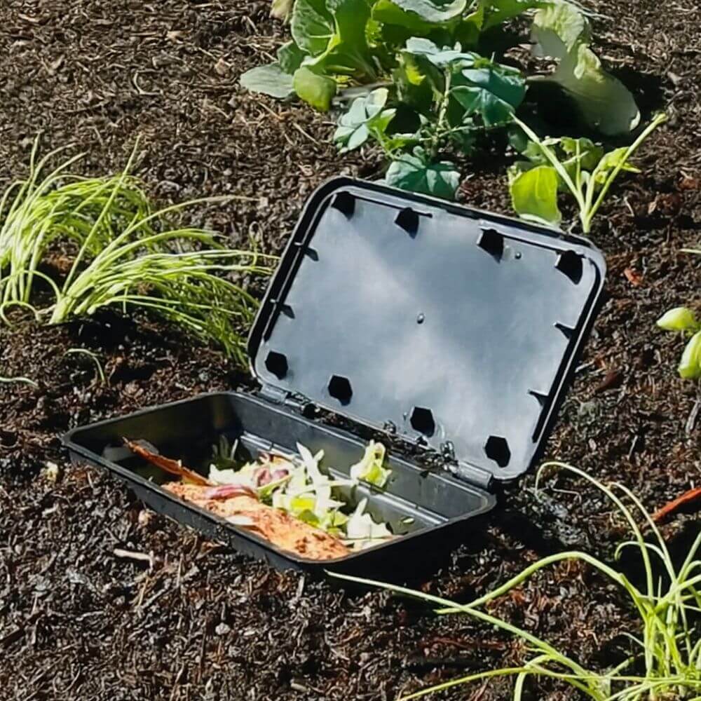 Black compost bin with kitchen scraps in soil