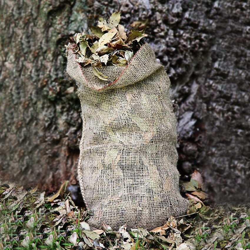 Sack filled with dried leaves against a tree trunk