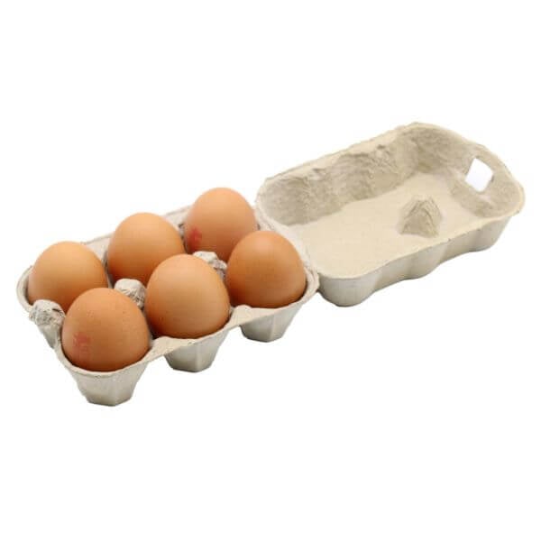 Carton of eggs with a white background