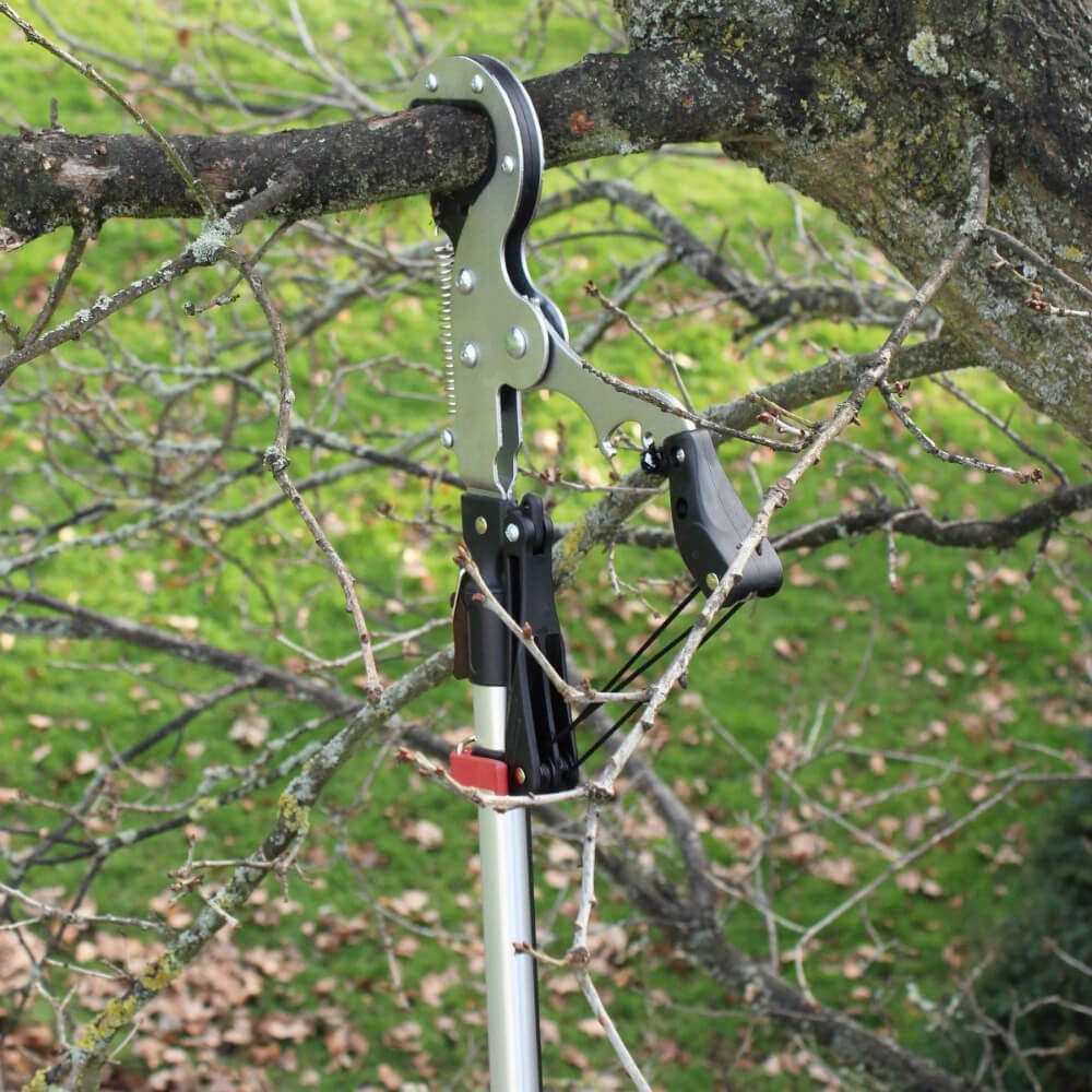 Expert Geared Tree Pruner for Clean Garden Cuts