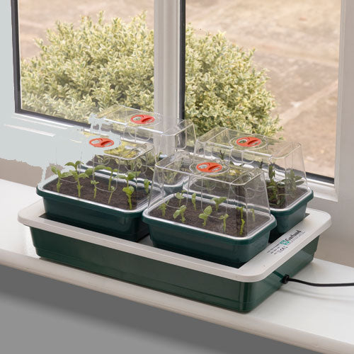 An electric propagator with multiple seed trays filled with plants, set on a windowsill with a view of a backyard.