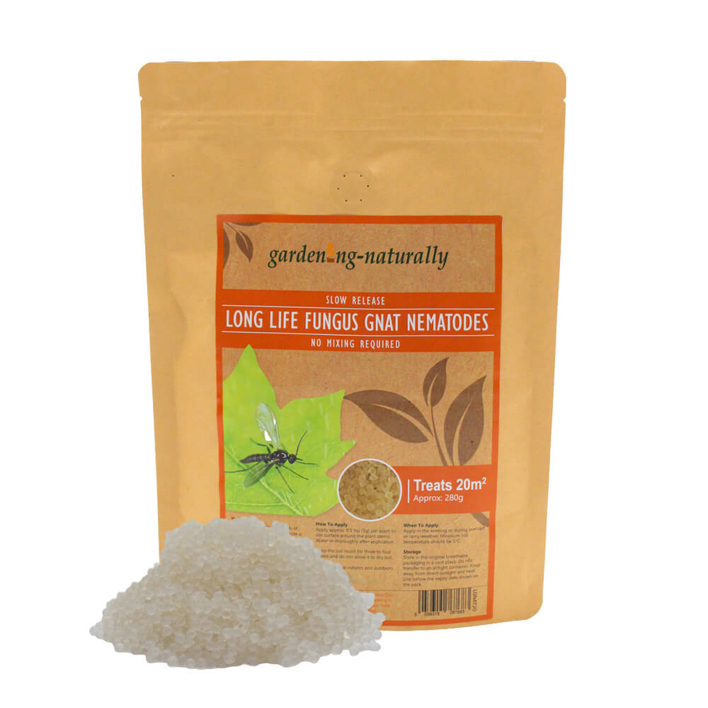 Package of 'garden naturally' long life fungus gnat nematodes on a white background