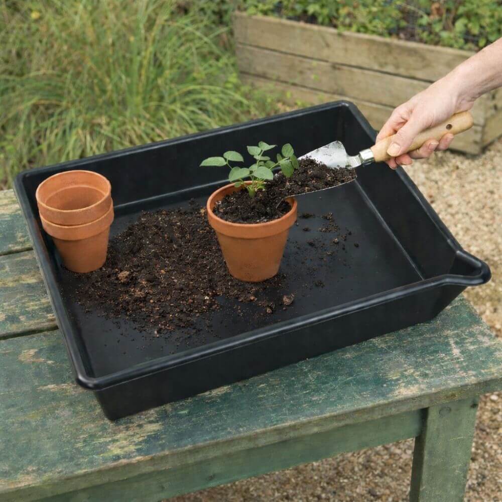 Person repotting a plant in a black tray with soil and a small shovel.
