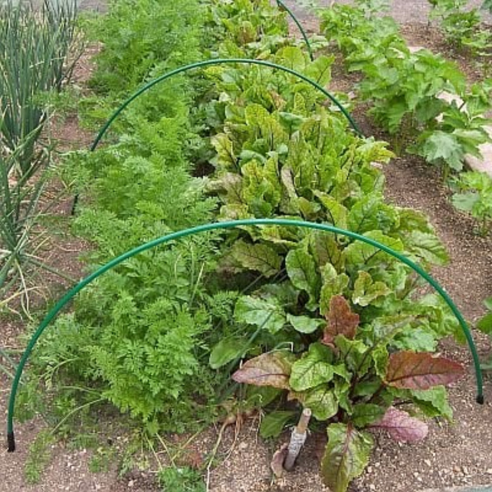 Flexible Green Garden Hoops for Creating Garden Cloches