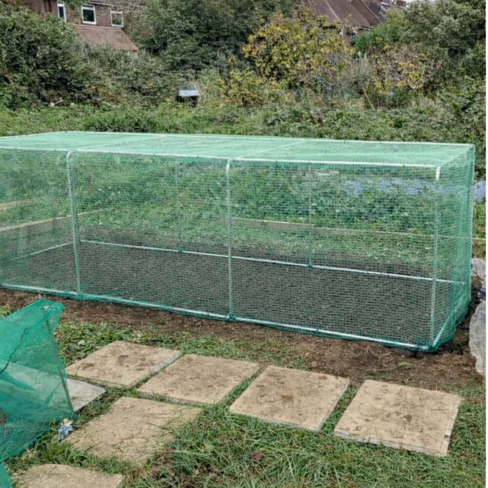 Green garden enclosure with mesh sides in a garden setting