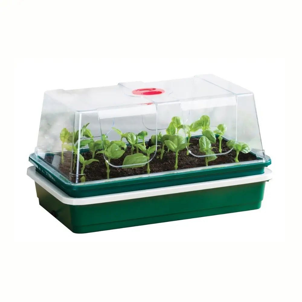 Heated electric propagator with seedlings inside