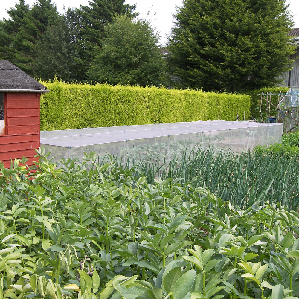 insect netting cage over vegetables