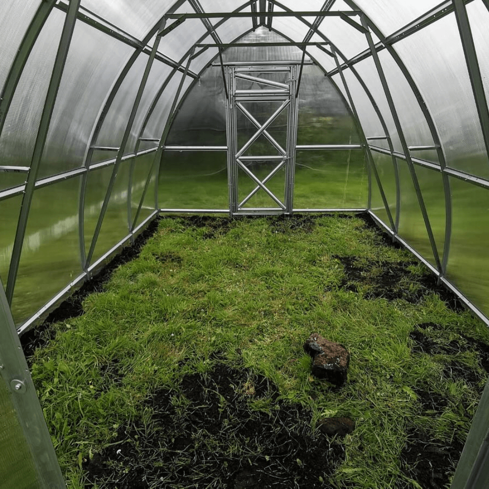 Greenhouse interior with grassy soil and metal framework