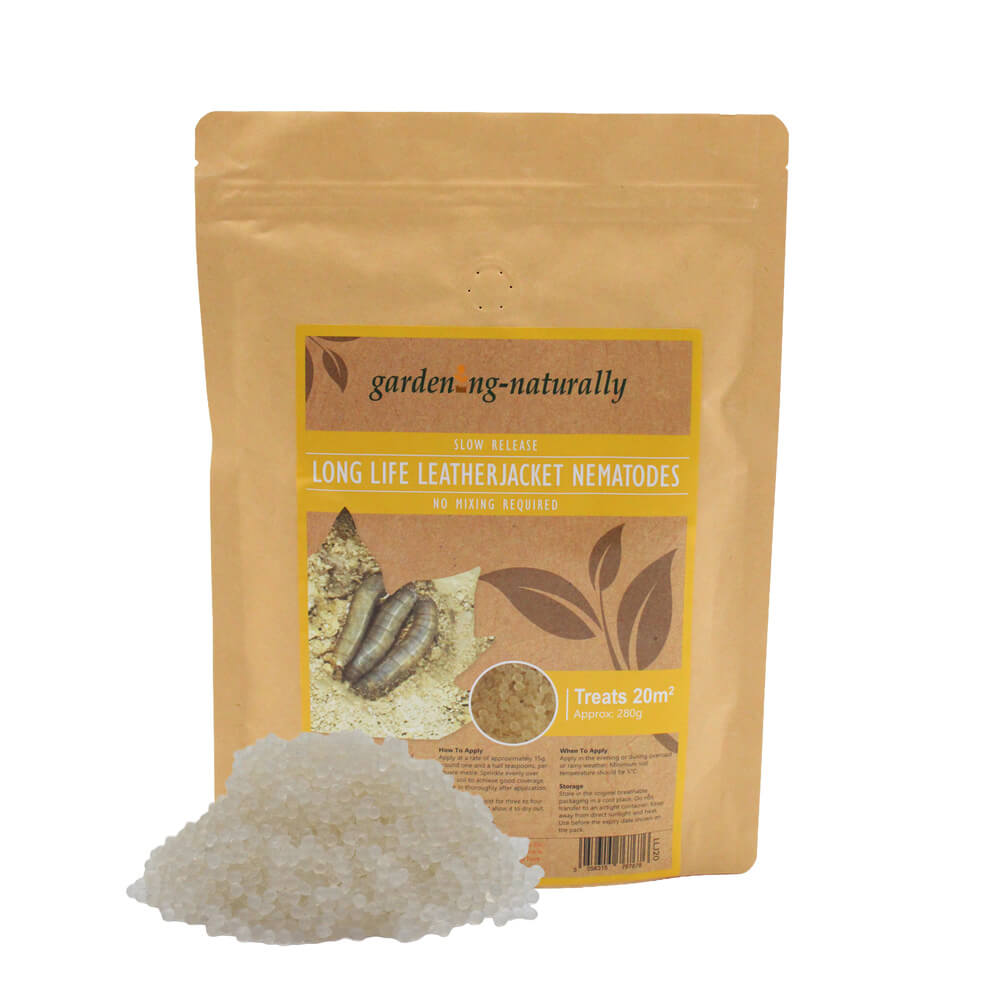 Package of gardening-naturally long life leatherjacket nematodes on a white background