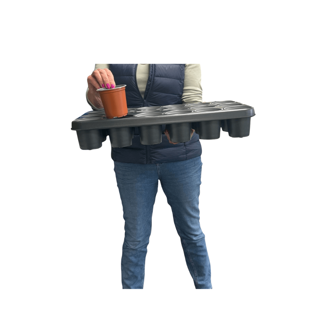 Person holding shuttle tray for plant carrying plant pots white background