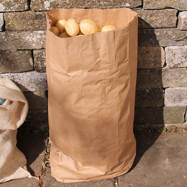 large paper potato sack 