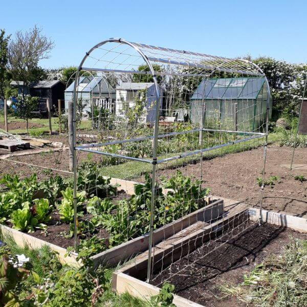 Domed Pea & Bean Growing Frame with Jute Netting