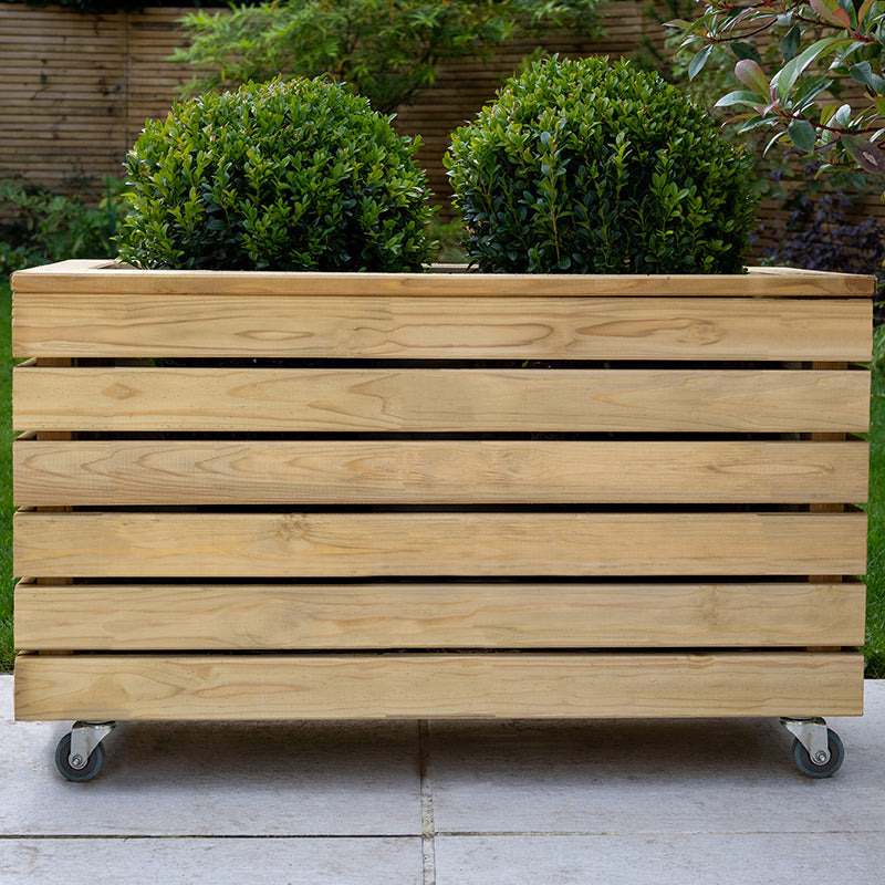  A wooden planter on wheels containing two shrubs