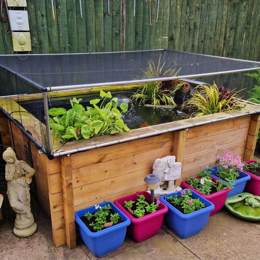 Wooden raised garden pond with protection cage and plants and colorful pots on a patio