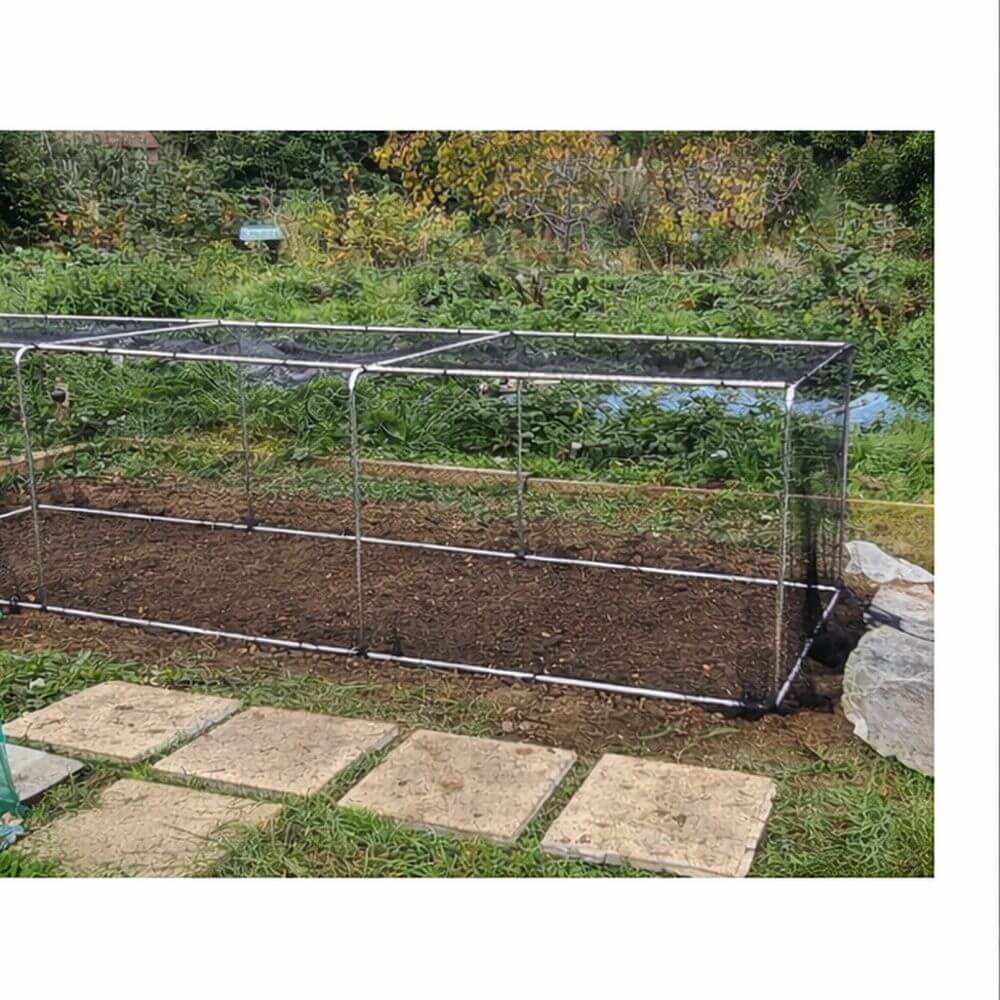 Large outdoor garden bed with vegetable cage in a natural setting