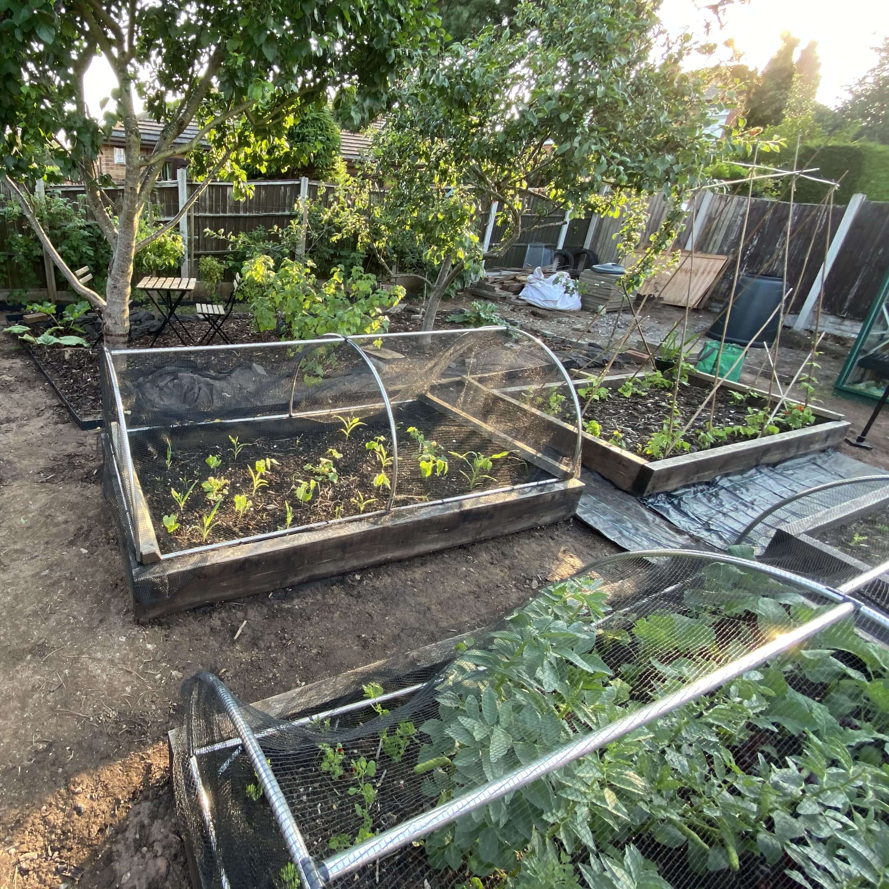 Garden with raised beds and plants, including a cold frame.