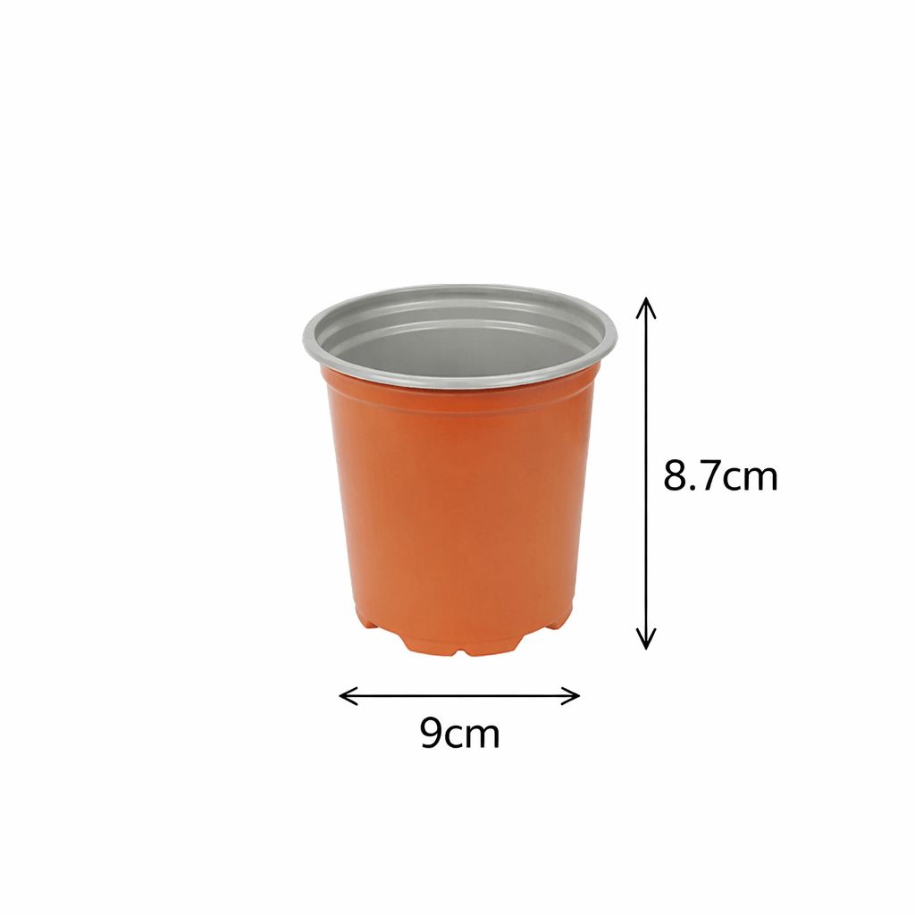 Small plastic pot for seedlings and dimensions labelled on a white background