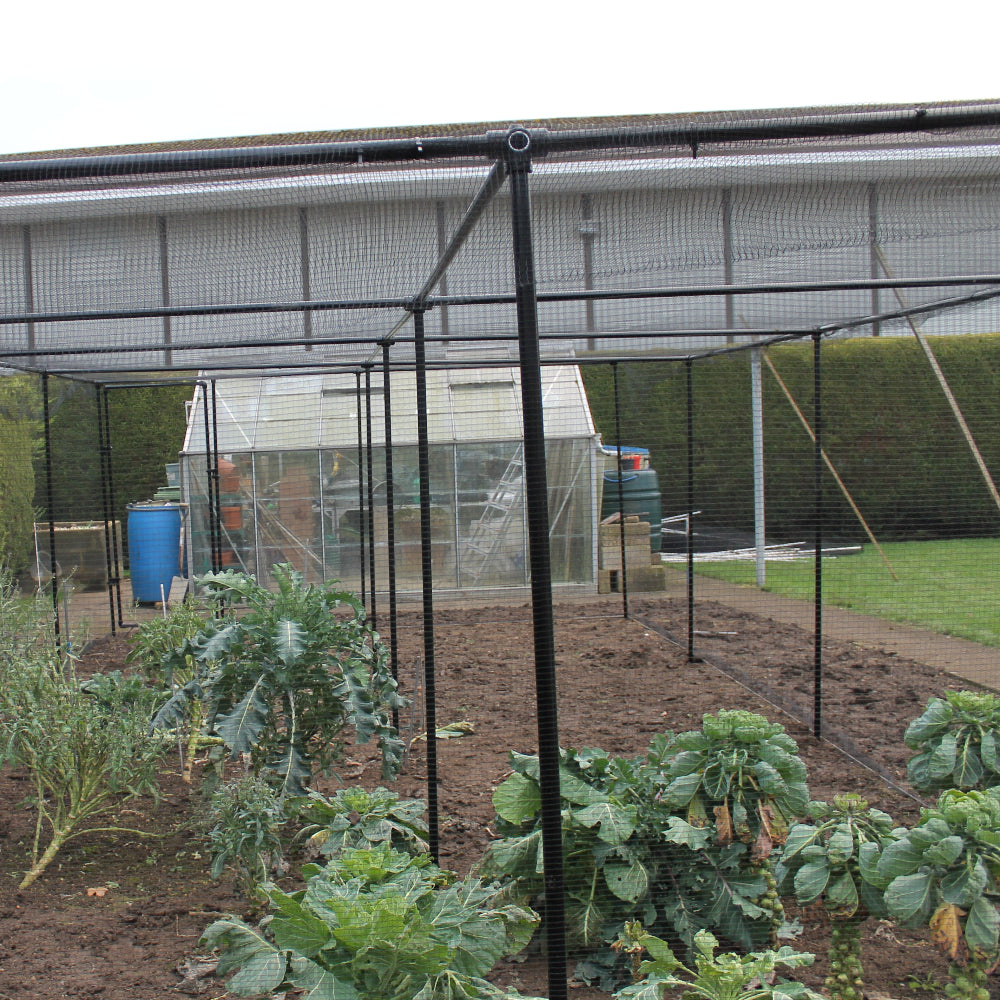 premium cage with vegetables in