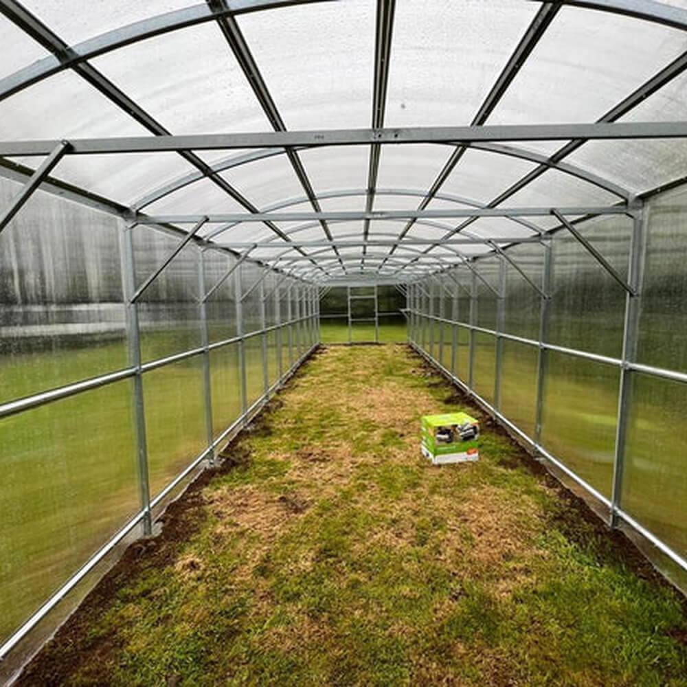 Greenhouse interior with a small plant on the ground