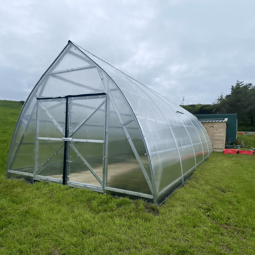 A greenhouse with a high roof on grass