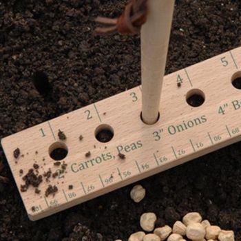 Wooden planting guide with holes labeled for different vegetables in soil