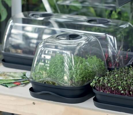 Clear plastic propagators containing small plants on a table