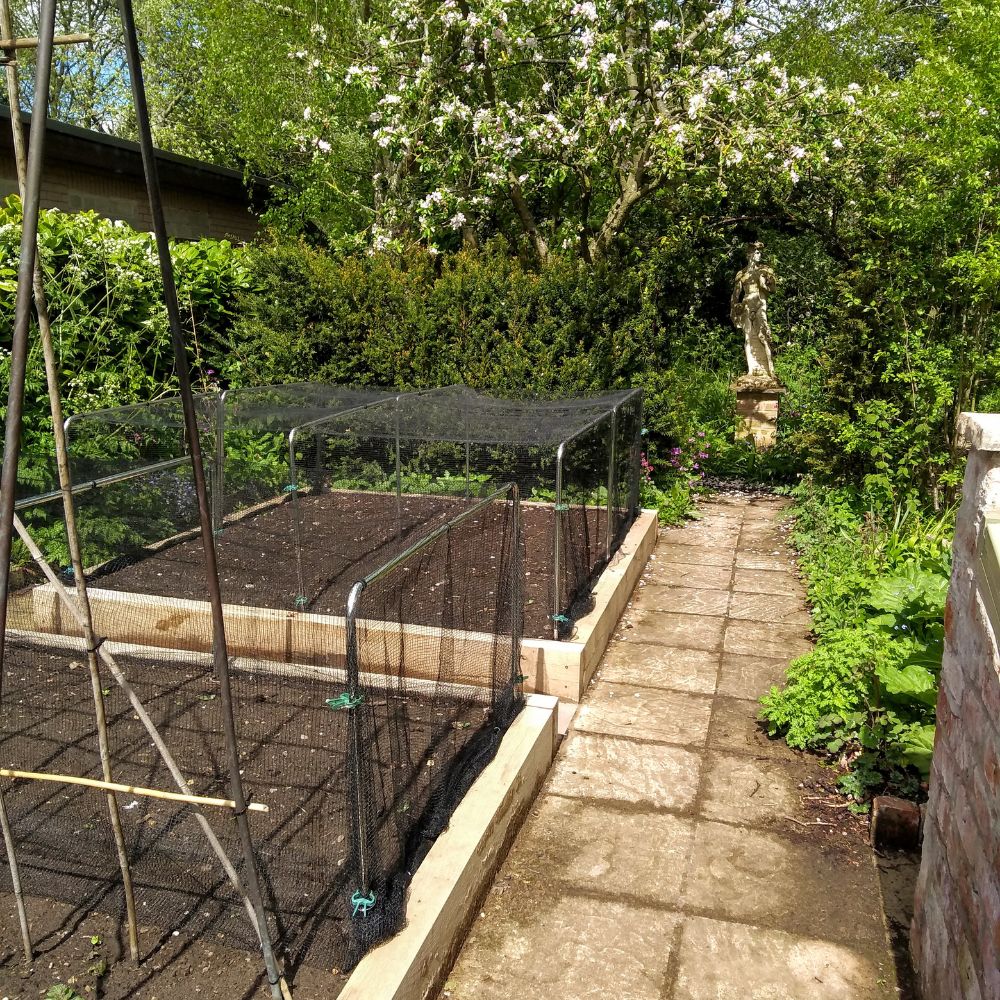 square hoops with butterfly netting on