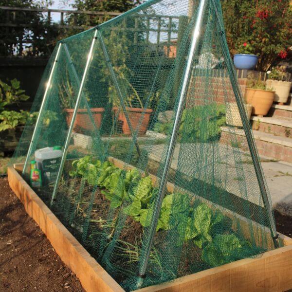Vegetable garden with a green netting cover in a backyard setting