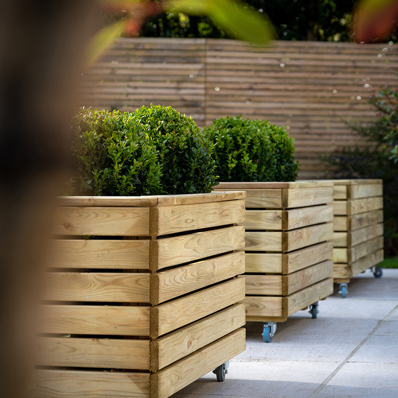 wooden planters with wheels, three in a row