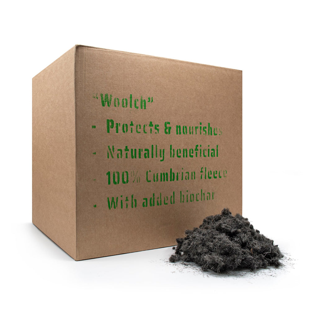 Brown cardboard box with green text Woolch Mulchand a pile of black soil