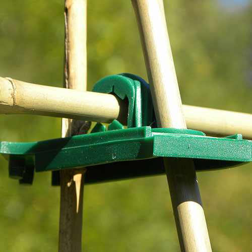 Cane Supports