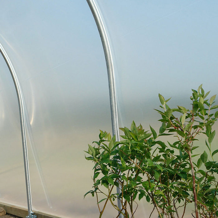 Clear Tunnel Greenhouse Polythene