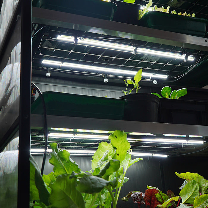 Sprout S24 Smart Mini Greenhouse