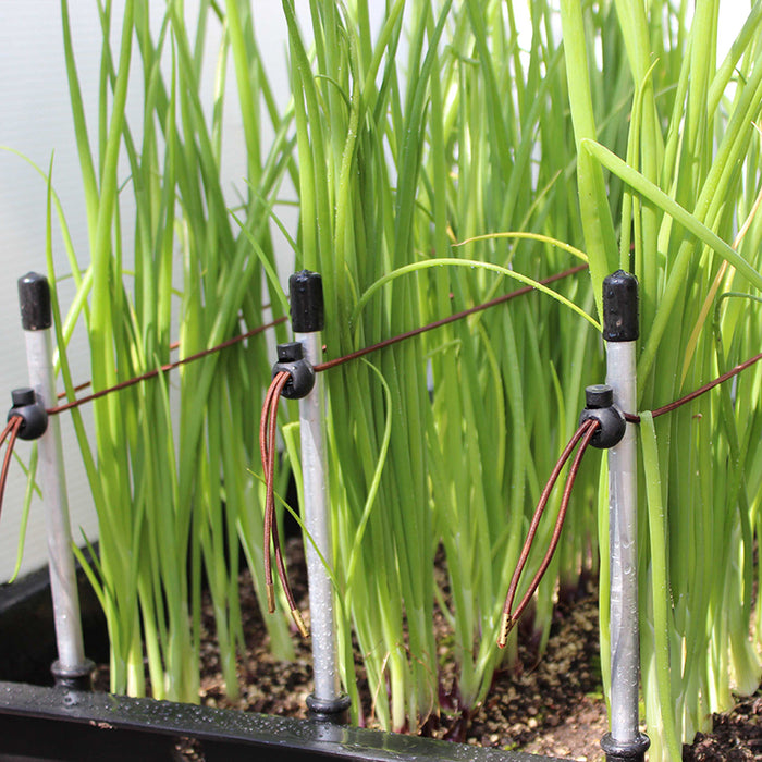 Ergrownomics - Set of 3 Plant Training Kits
