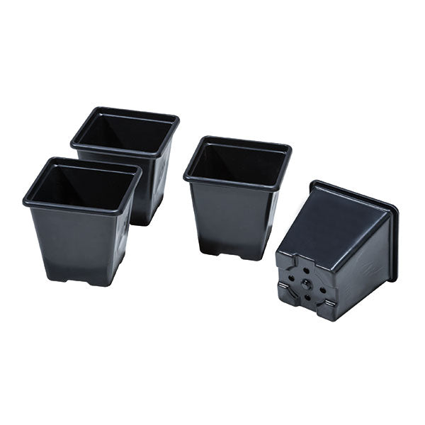 Shuttle Trays With Square Pots