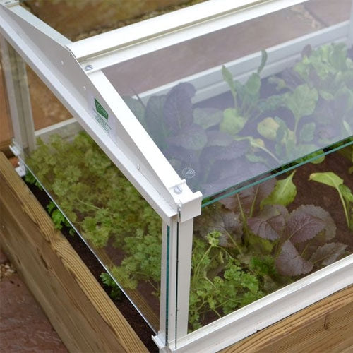 Access Herb And Salad Cloche Planter